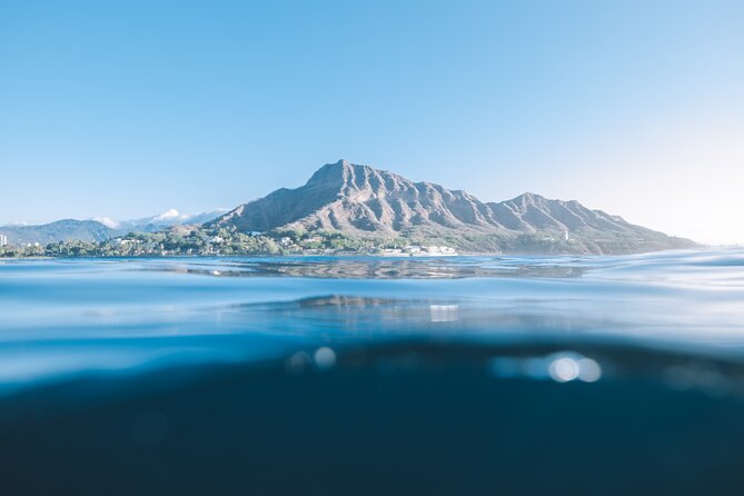 Private Whale Watching and Coastal Swimming Tour Honolulu