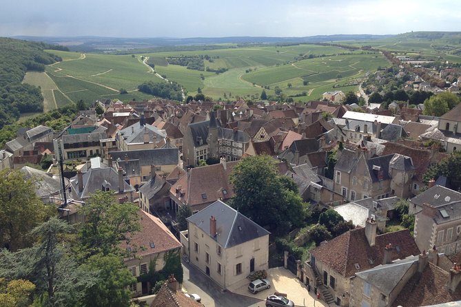 Private Wine & Cheese Tour to Loire Valley Vineyards From Paris