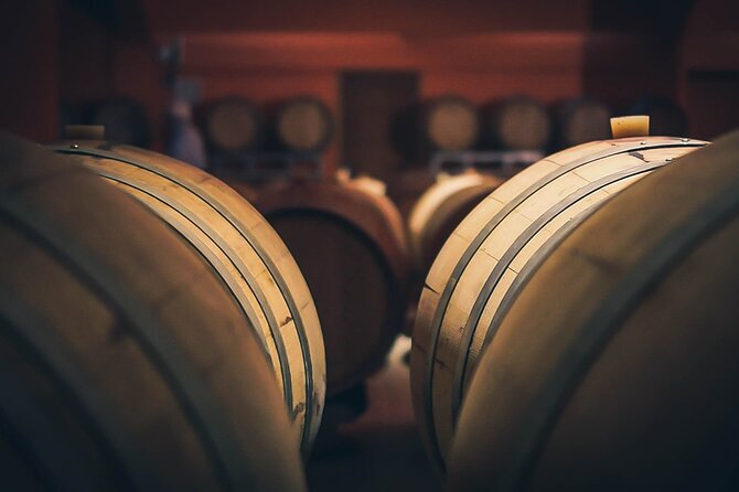 Private Wine & Food Pairing at Silva Winery (10 Labels)