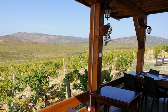 Private Wine Tour of Chateau Sopot Winery From Skopje