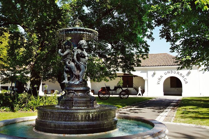 Private Winery Undurraga From Santiago