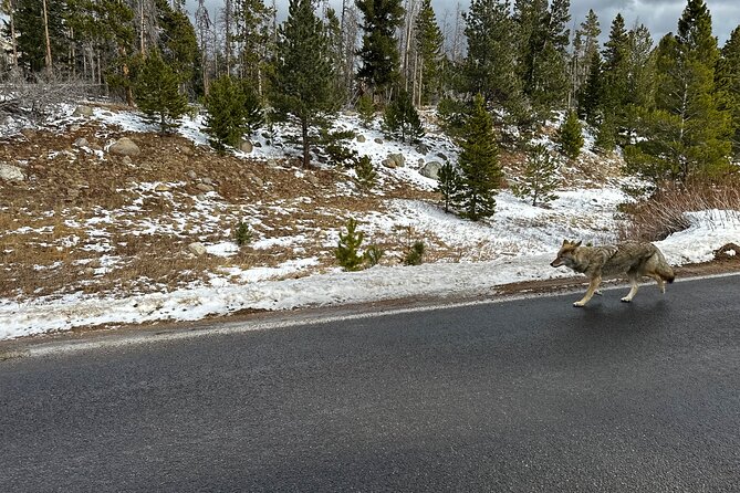 Private Winter Tour in Rocky Mountain National Park
