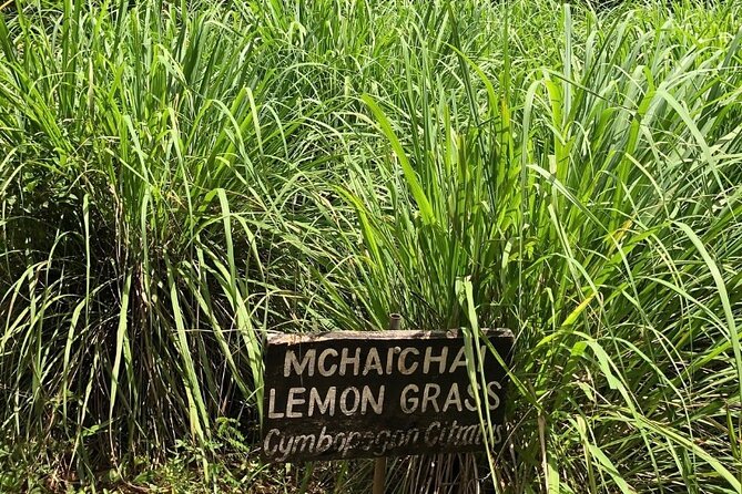 Private Zanzibar Spice Farm Tour