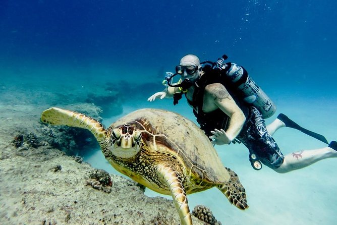 Professional Scuba Diving Full Day Trip With Transfer – Hurghada