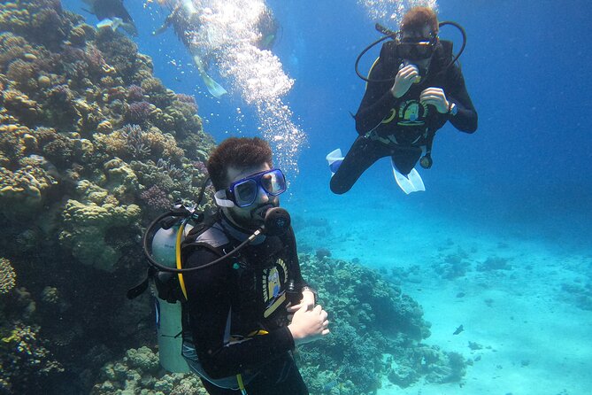 Professional Scuba Diving Trip in Hurghada With Lunch