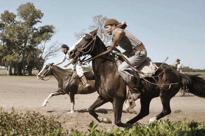 Promo Buenos Aires: City Tour & Gaucho Experience