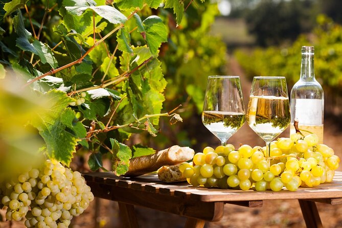 Provencal Market and Wine Tasting Full-Day Shared Tour From Nice