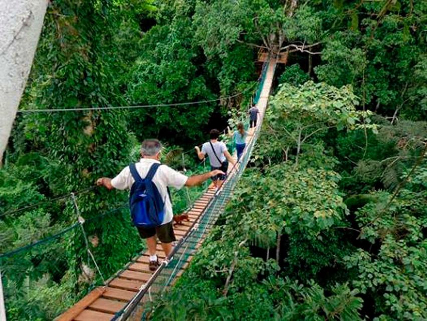 Puerto Maldonado: Sandoval & Parrot Clay Lick 3-Days