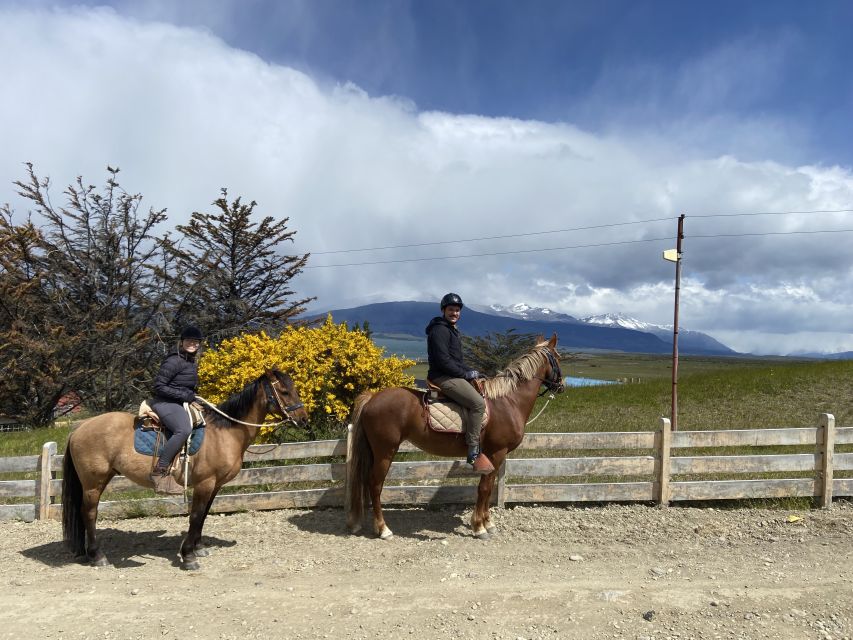 Puerto Natales: Horseback Riding With Horse Connection