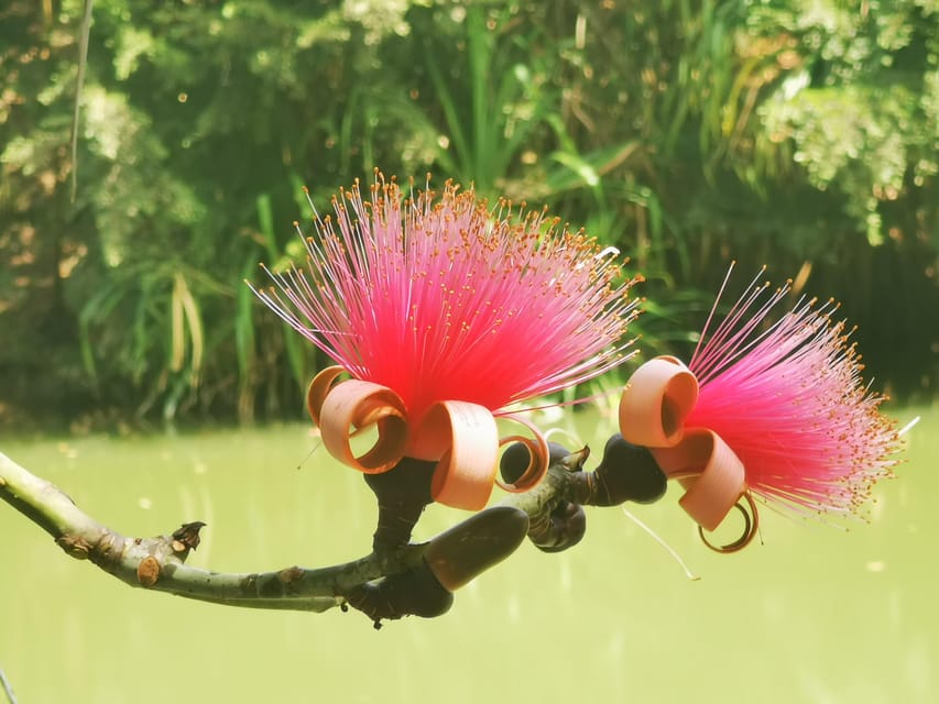 Puerto Plata: Taino Valley and Dominican Flavor Experience