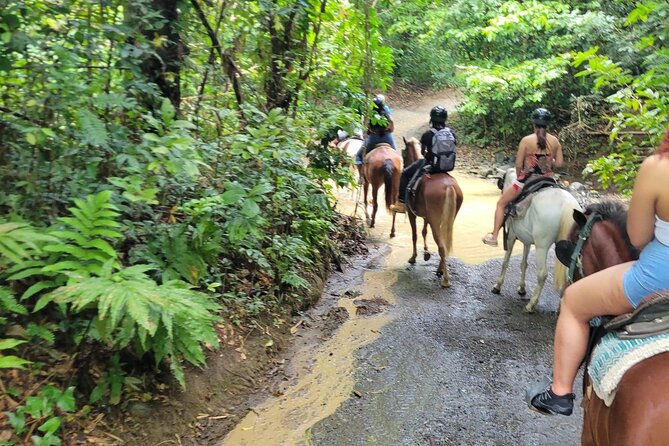 Puerto Rico Beach Horseback Riding Guided Tour - Overview of the Tour