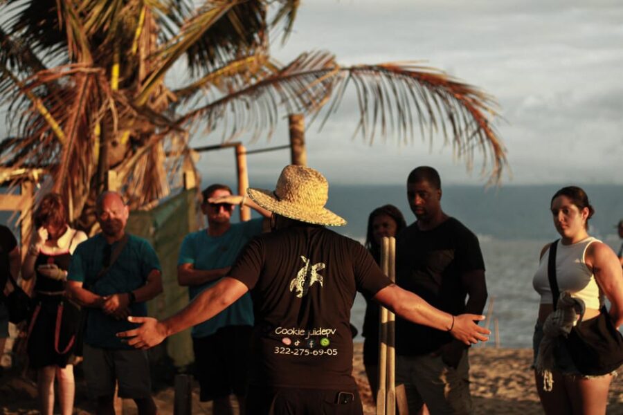 Puerto Vallarta: Baby Turtle Release in Conservation Area