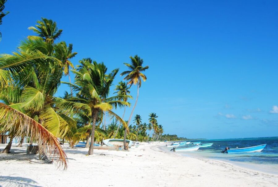 Punta Cana: Catamaran Boat to Saona Island With Buffet Lunch - Overview and Pricing
