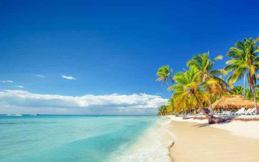 Punta Cana: Catamaran Boat to Saona Island With Buffet Lunch - Overview of the Tour