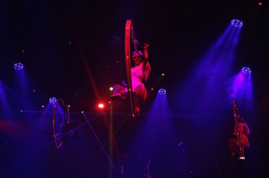 Punta Cana: Coco Bongo Nightclub Experience With Transfer - Overview and Pricing