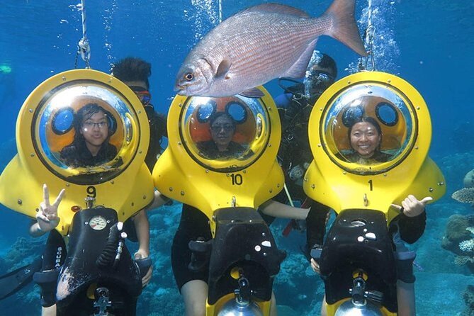 Punta Cana Experience: Scuba Diving, Scooter, Panoramic Glass Boat and Snorkel