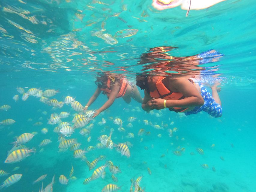 Punta Cana Explore Catalina Island and Snorkeling Adventure - Tour Overview and Pricing