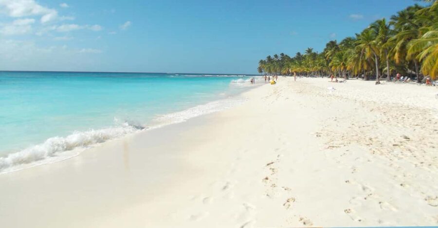 Punta Cana: Saona Island Catamaran Tour & Buffet Lunch