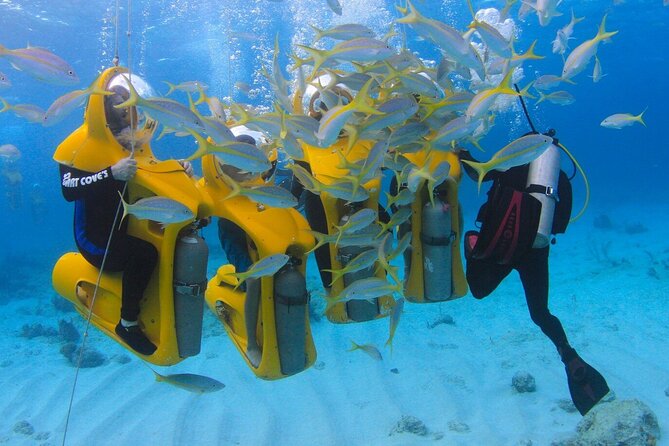 Punta Cana Scuba Doo Adventure Experience – Canadian Managed