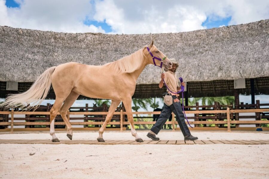 Punta Cana: Xploration Animal Park Bus Tour With Encounters