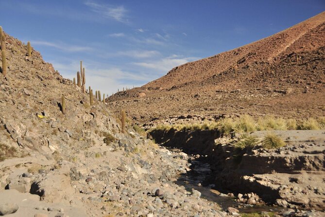 Puritama Canyon and Guatin Trekking - Inclusions and Logistics