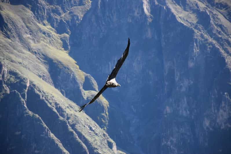 18 Best 2 Day Tours In Chivay