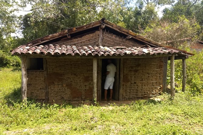 Quilombo Heritage Private Tour