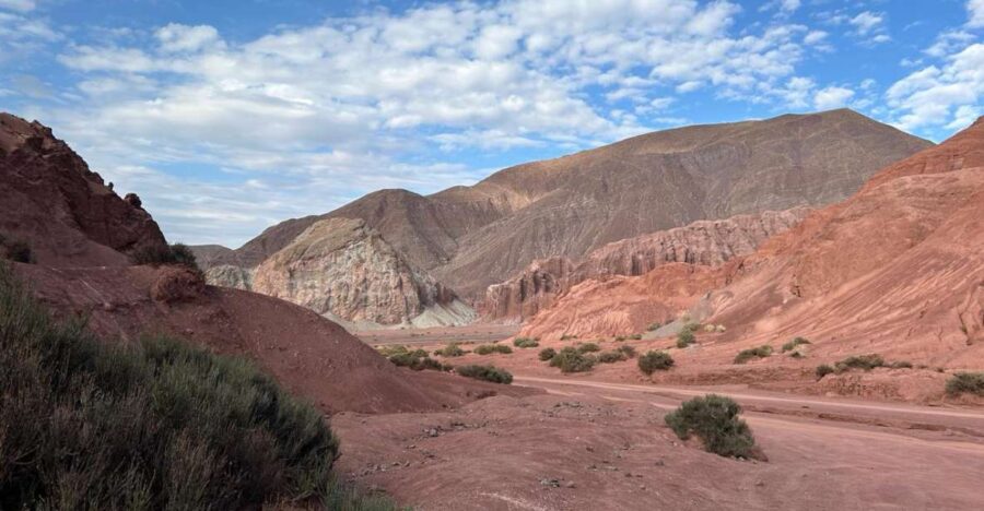 Rainbow Valley Tour + Petroglyphs (Yerbas Buenas)