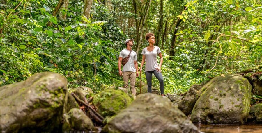 Rainforest Adventure