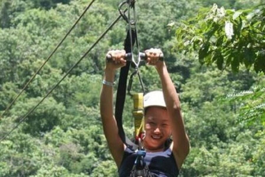 Rainforest Zipline Mystic Mountain Tour Fr Montego Bay