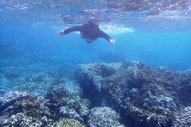 2 Best Snorkeling Experiences In Hanga Roa
