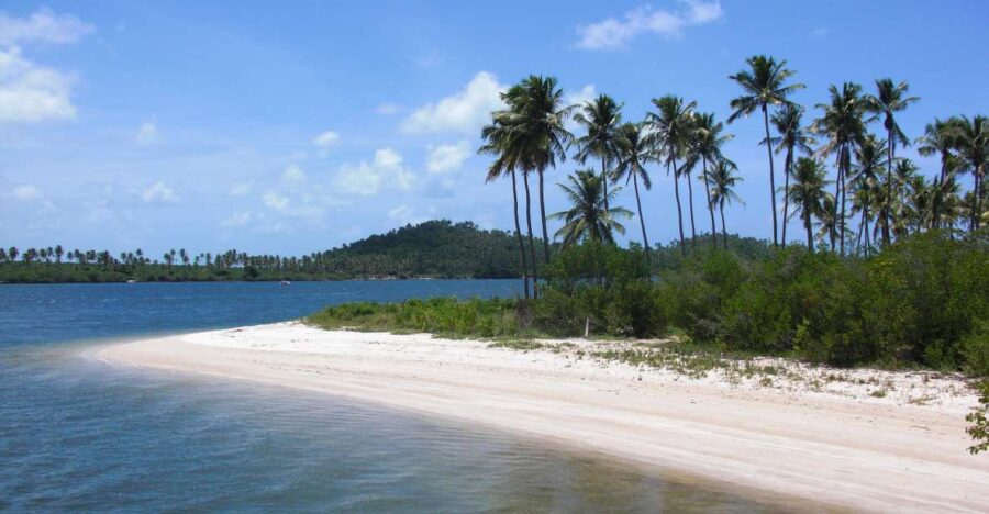 Recife: Tour to Carneiros With Catamaran Ride - Activity Details