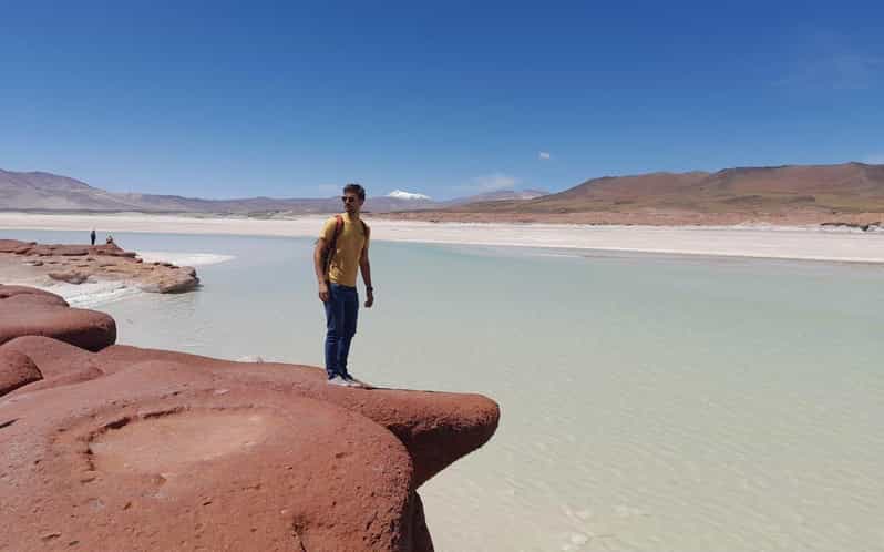 Red Stones Tour + Altiplanic Lagoons + Chaxa Lagoon