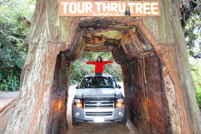 Redwood National Park Tour 2-Day Private Tour Package Hotel Included - Overview of the Tour Package