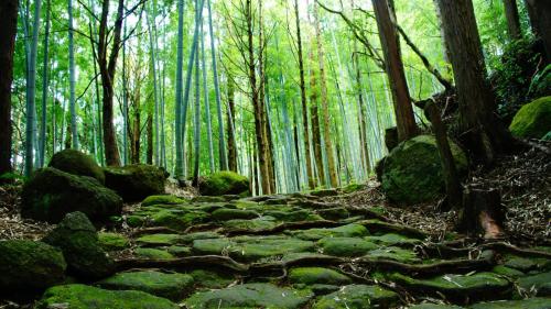 Resort Kumano Club - Location and Accessibility