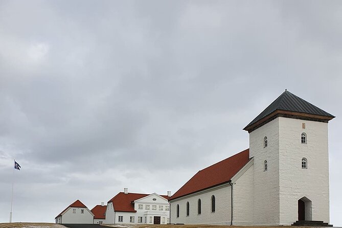 Reykjavik City Private Tour - Customized Experience