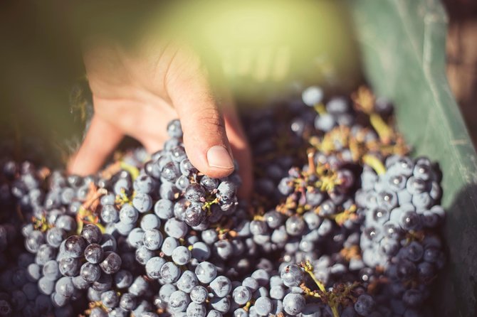 Rich Tuscan Snack