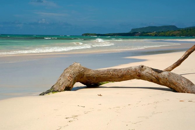 Rincón Beach Samaná Peninsula Half Day Trip - Pickup and Accessibility