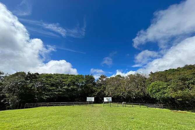 Rincon De La Vieja/Santa Maria Nature Hike & Hot Springs/Half Day