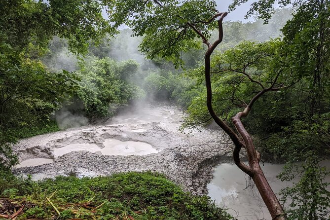 Rincón De La Vieja Volcano Hike & Hot Springs Full Day - Overview and Experience