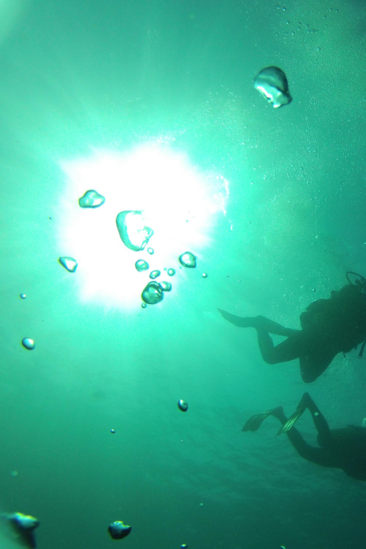 Rio: Best Dive Experience All Inclusive Scuba Diving Package