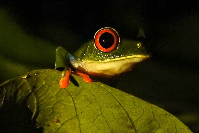 Rio Celeste Nature Night Walk - Location and Accessibility