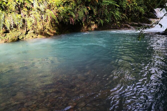 Rio Celeste River Waterfall, Hike and Hot Springs Tour From San Jose, Costa Rica - Itinerary Details