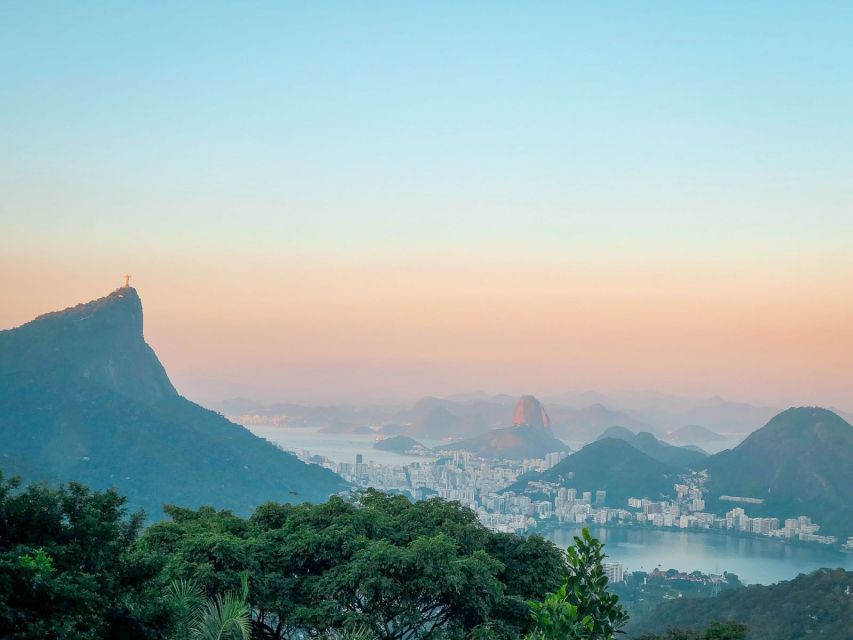 Rio De Janeiro: Strolling Through the Tijuca Forest - Exploring Tijucas Diverse Ecosystem