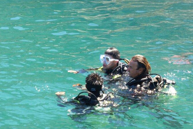 Rios Best Dive Experience All Inclusive Scuba Diving Package! - Overview of the Experience