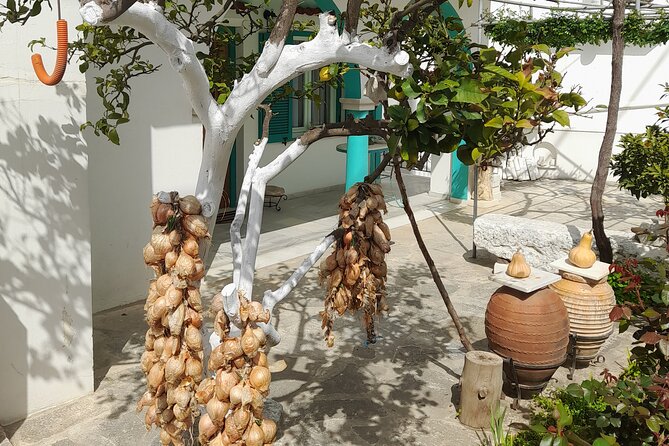 Riverbank Adventure in Naxos (Kinidaros – Eggares)