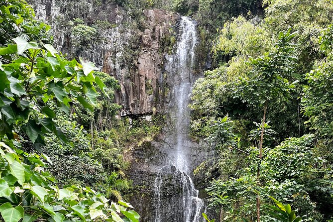 Road to Hana Private Tour: Adventure on Maui in Convertible SUV