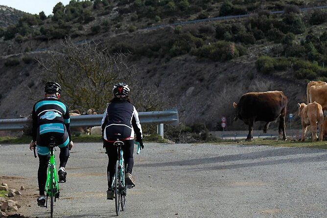 Road, Trekking or E-bike Bike Rental in Cagliari - Rental Options