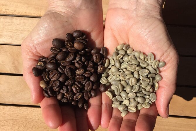 Best Coffee Tours And Tastings In San Francisco