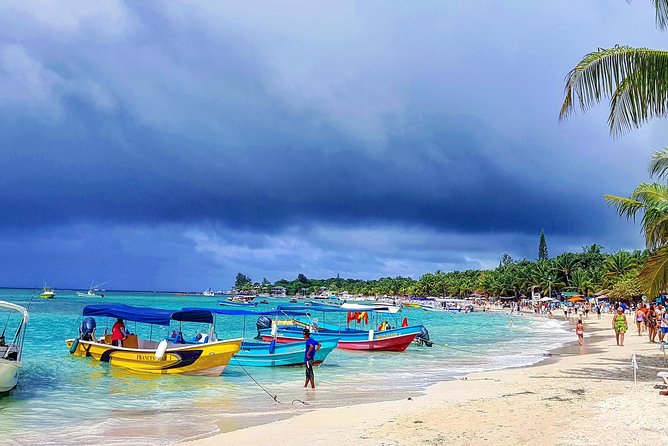 Roatan City Tour and Beach Break at West Bay
